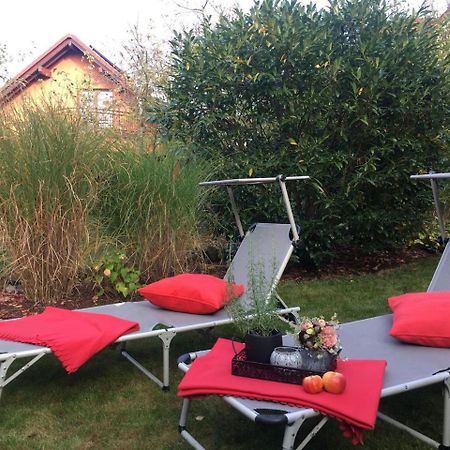 Gaestezimmer Hortensie Weil der Stadt Eksteriør billede